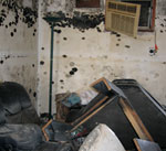 mold in Katie's home